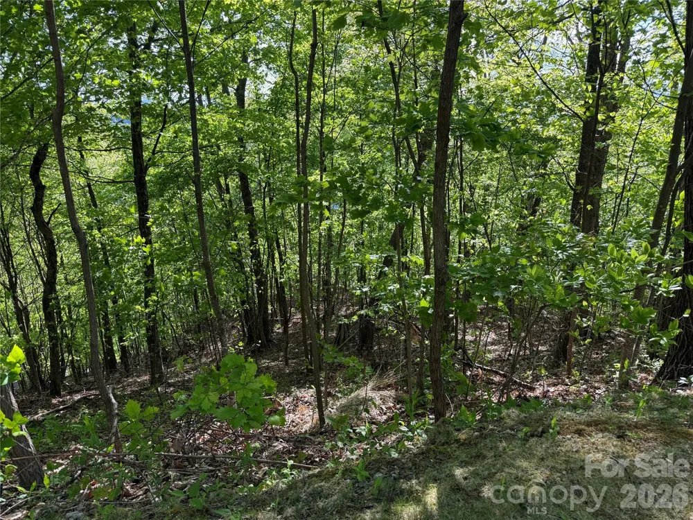 Lot 9 & 10 Andrew Banks Road Burnsville, NC 28714