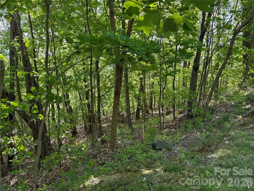 Lot 9 & 10 Andrew Banks Road Burnsville, NC 28714