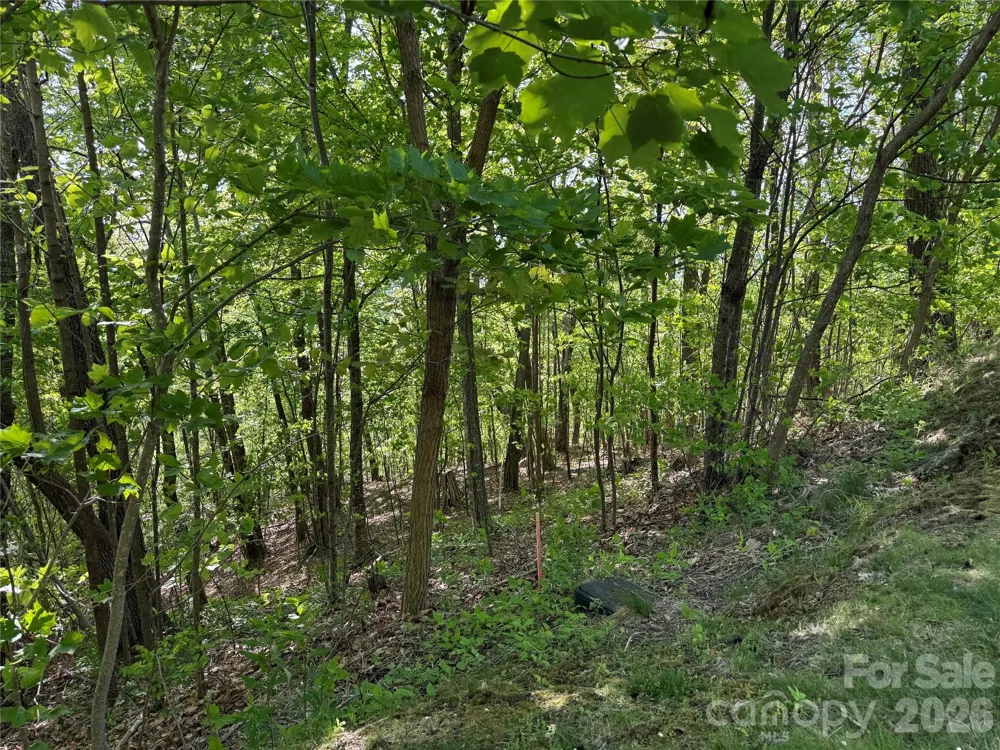 Lot 9 & 10 Andrew Banks Road Burnsville, NC 28714