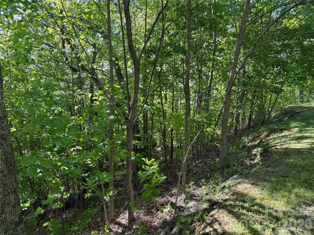 Lot 9 & 10 Andrew Banks Road Burnsville, NC 28714