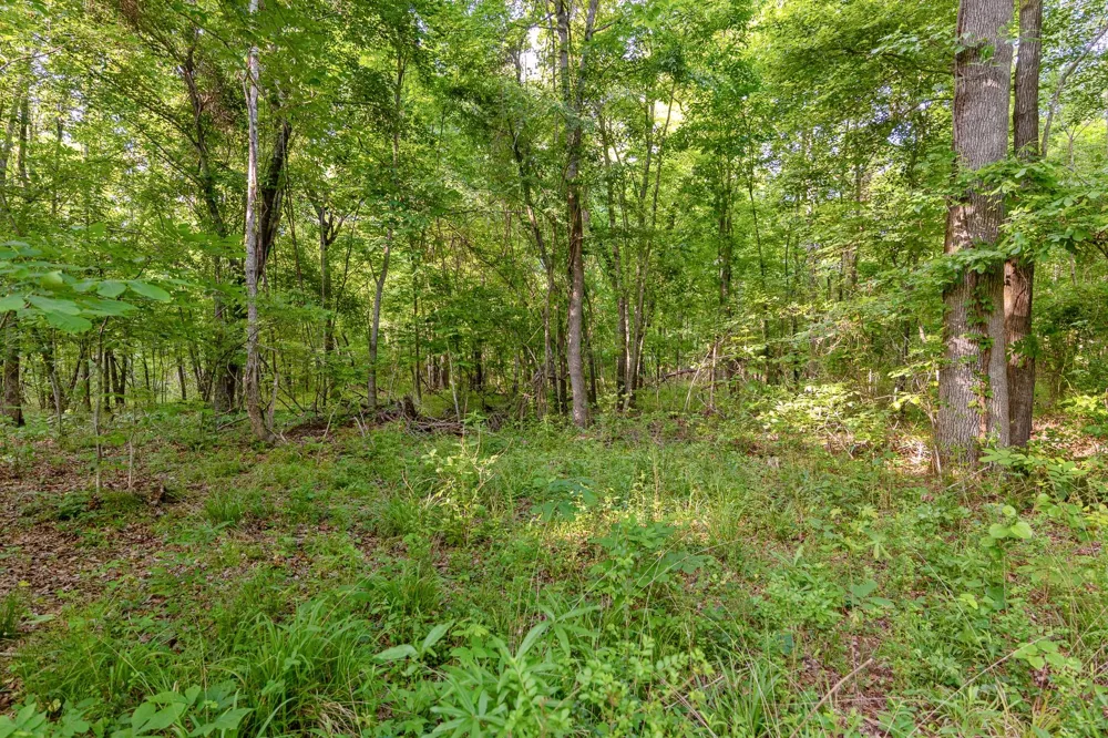 1478 Cr-4316 De Kalb, TX 75559