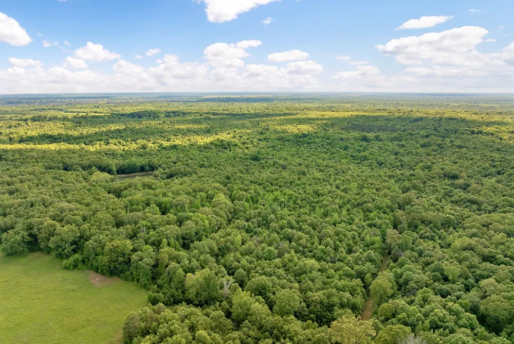 1478 Cr-4316 De Kalb, TX 75559