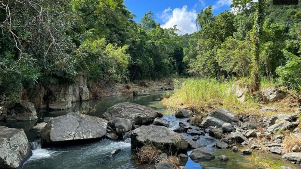 LAS LOMAS Canovanas, PR 00729