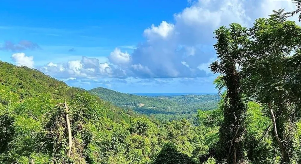 LAS LOMAS Canovanas, PR 00729