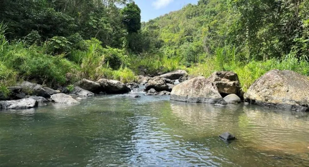 LAS LOMAS Canovanas, PR 00729