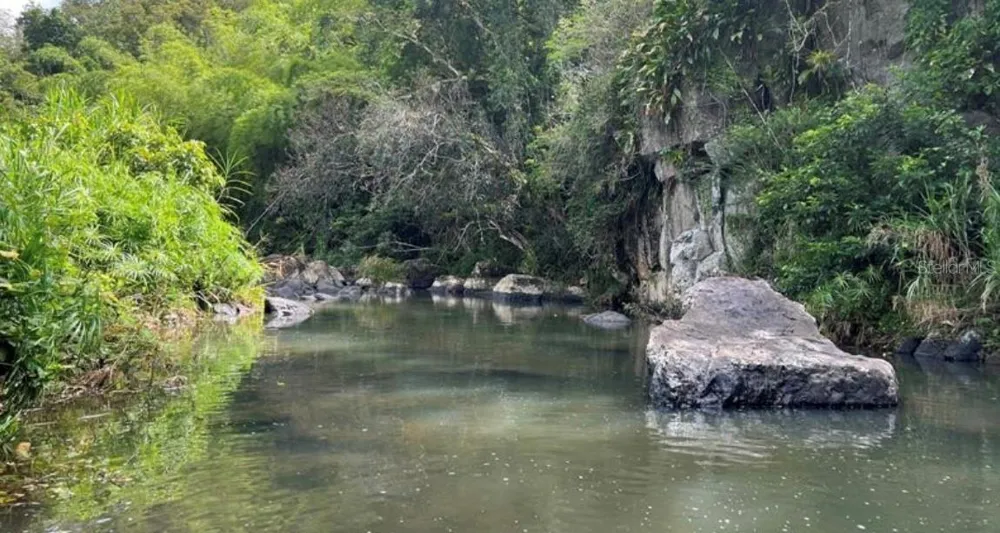LAS LOMAS Canovanas, PR 00729