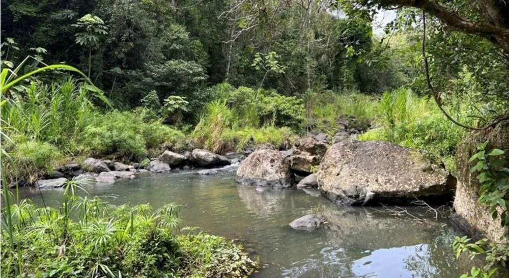 LAS LOMAS Canovanas, PR 00729