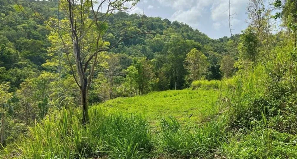 LAS LOMAS Canovanas, PR 00729