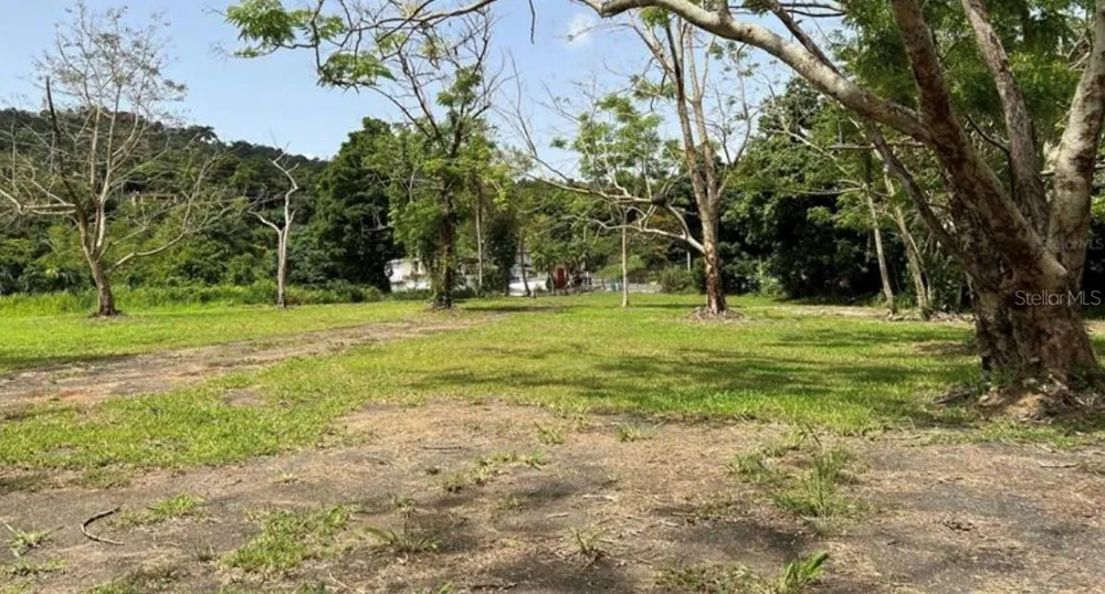 LAS LOMAS Canovanas, PR 00729