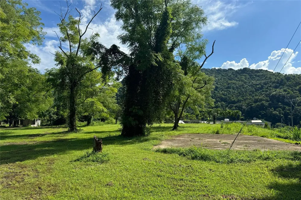LAS LOMAS Canovanas, PR 00729
