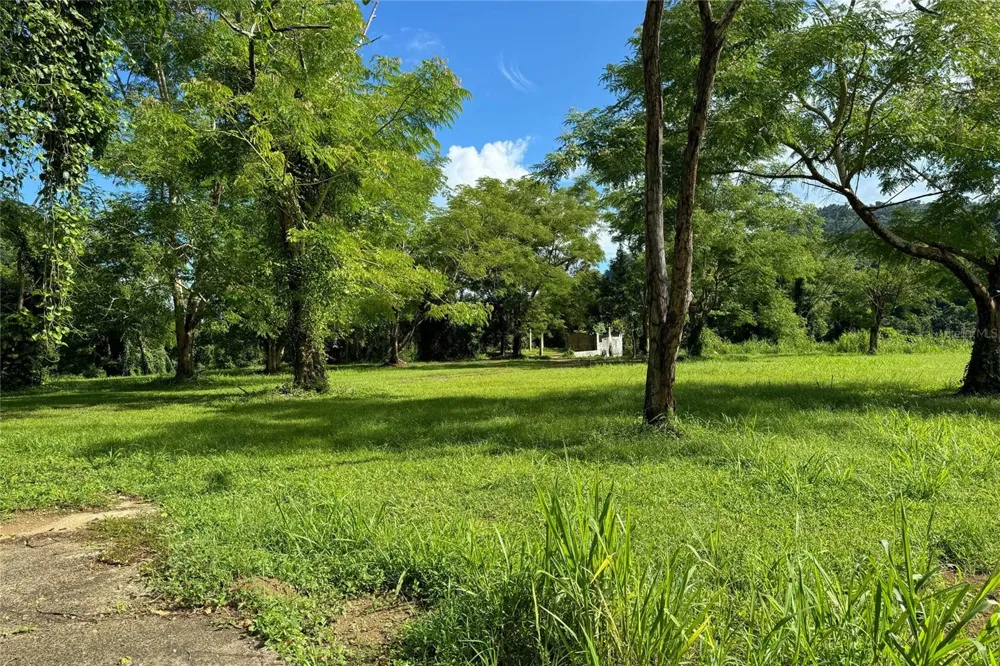 LAS LOMAS Canovanas, PR 00729