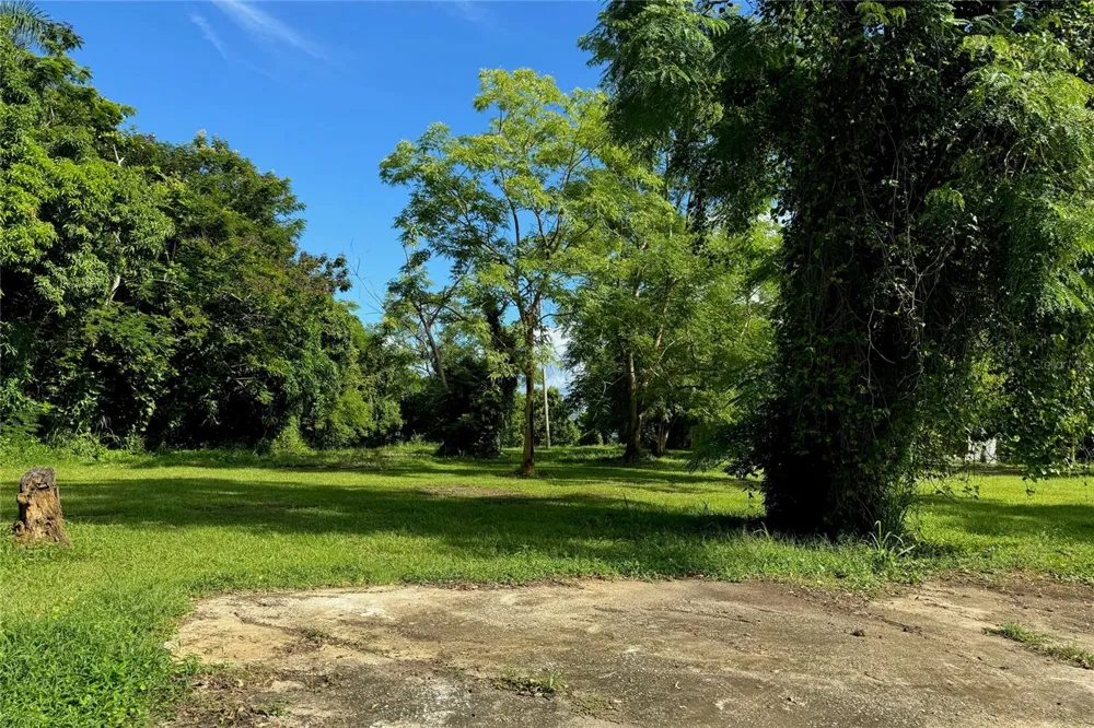 LAS LOMAS Canovanas, PR 00729