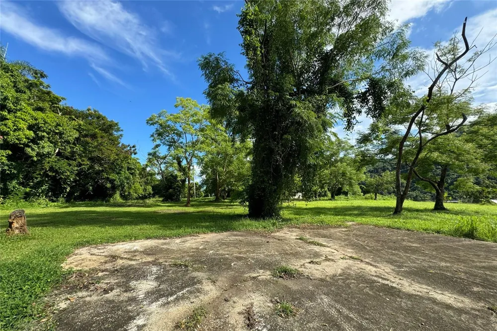 LAS LOMAS Canovanas, PR 00729