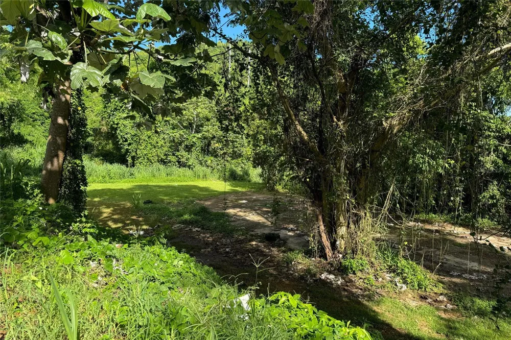 LAS LOMAS Canovanas, PR 00729