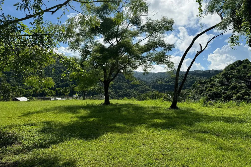 LAS LOMAS Canovanas, PR 00729