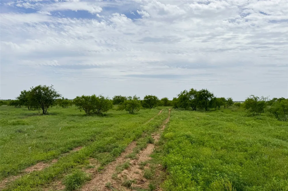 6718 FM 175 Henrietta, TX 76365