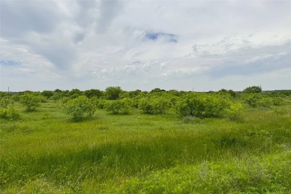 6718 FM 175 Henrietta, TX 76365