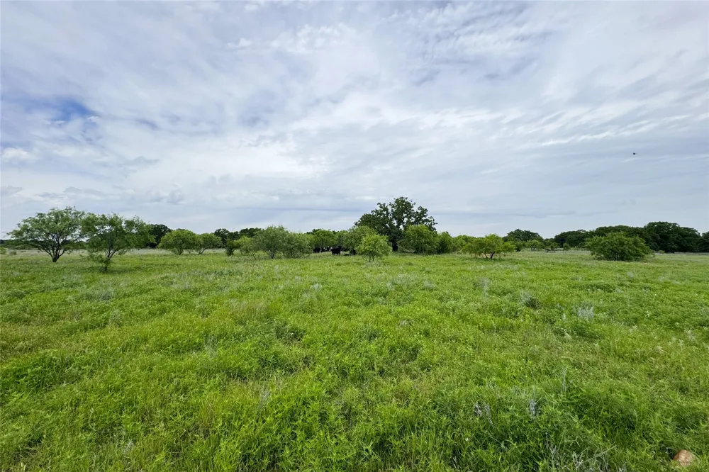 6718 FM 175 Henrietta, TX 76365