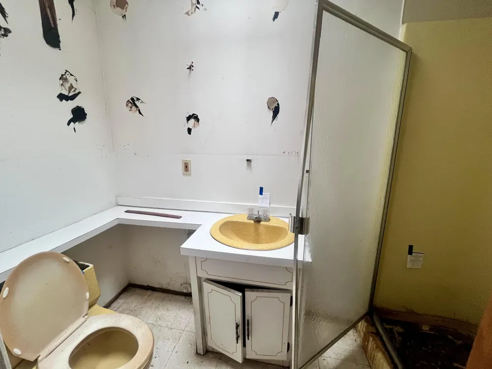 20043 Wyoming Avenue Detroit, MI 48221