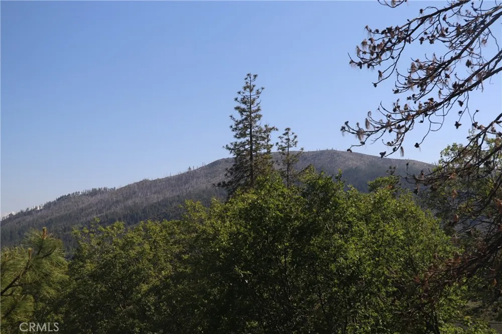 9714 St Helena Cobb, CA 95426