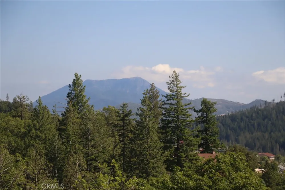 9714 St Helena Cobb, CA 95426