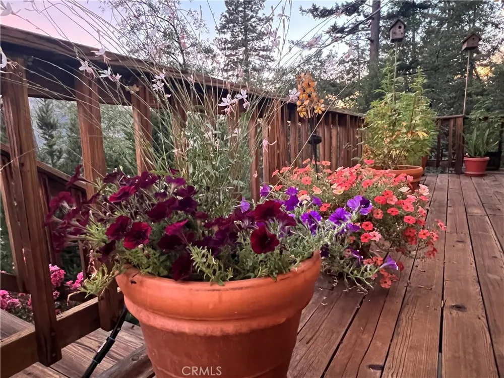 9714 St Helena Cobb, CA 95426