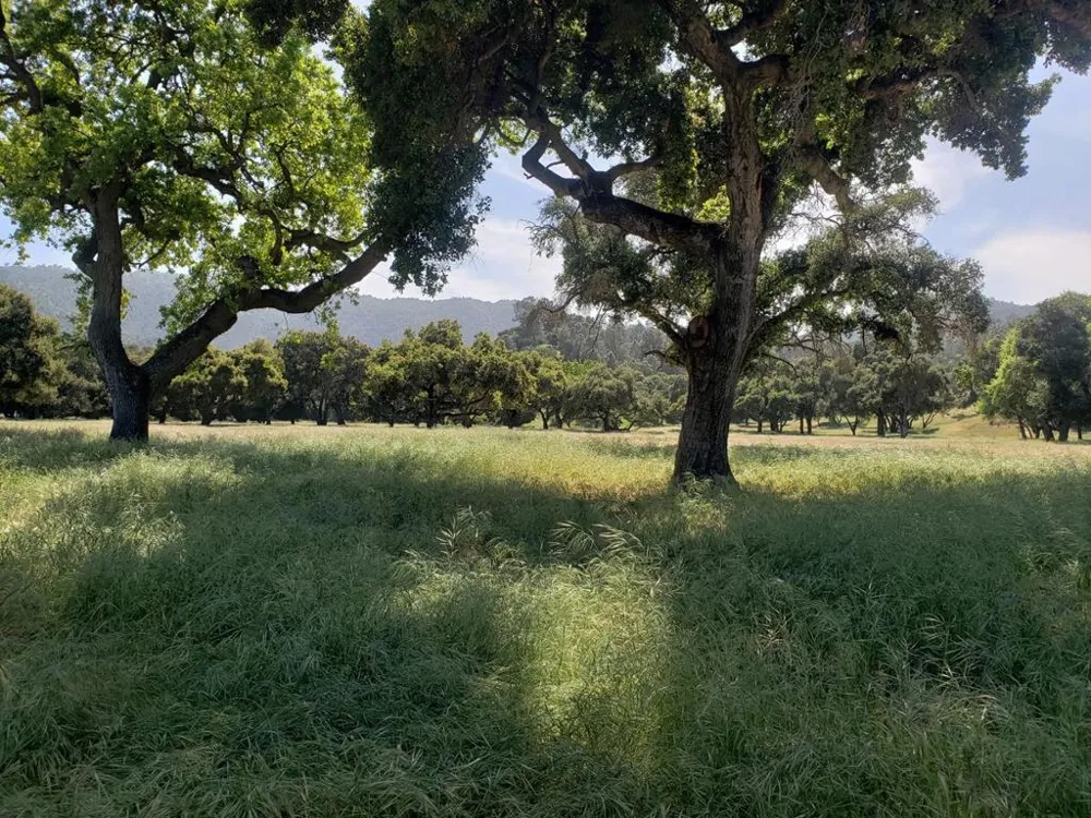 770 Limekiln Road Hollister, CA 95023