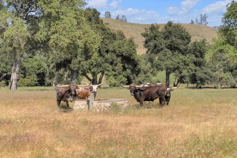 770 Limekiln Road Hollister, CA 95023