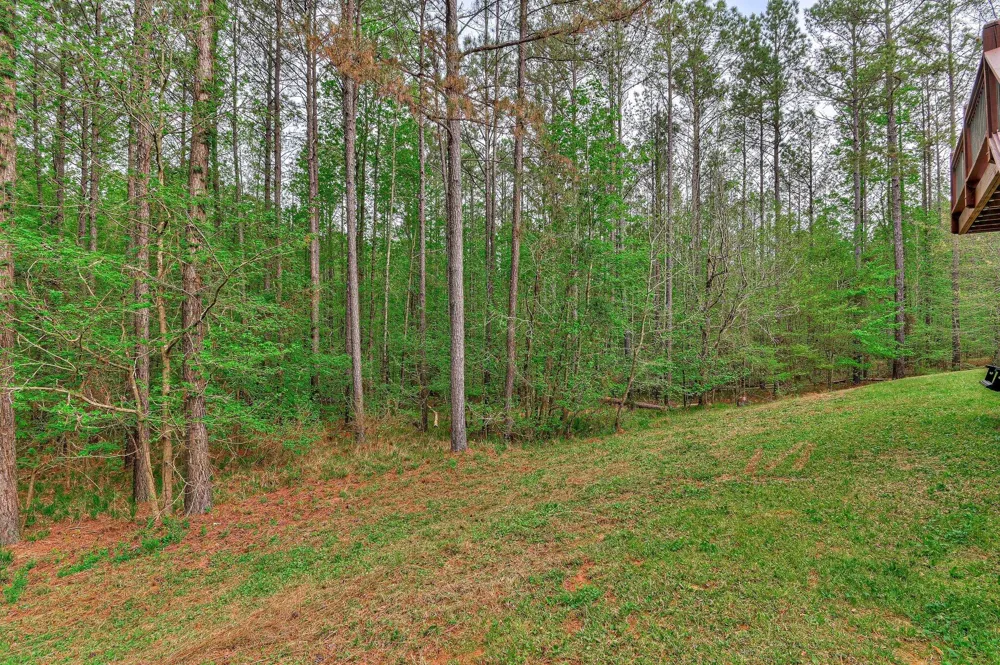 1067 Maiden Cane Way Lincolnton, GA 30817