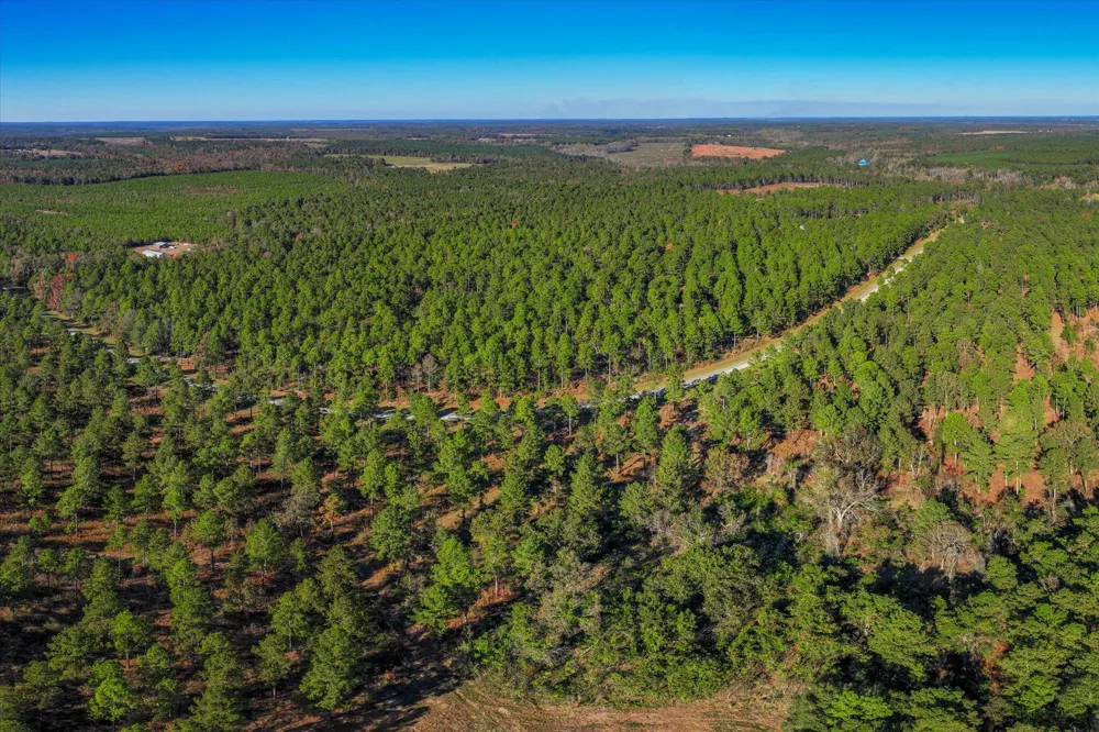 10596 Sand Valley Road Avera, GA 30803