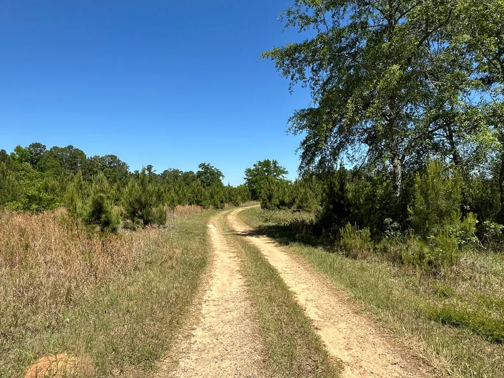 4230 W Quaker Road Keysville, GA 30816