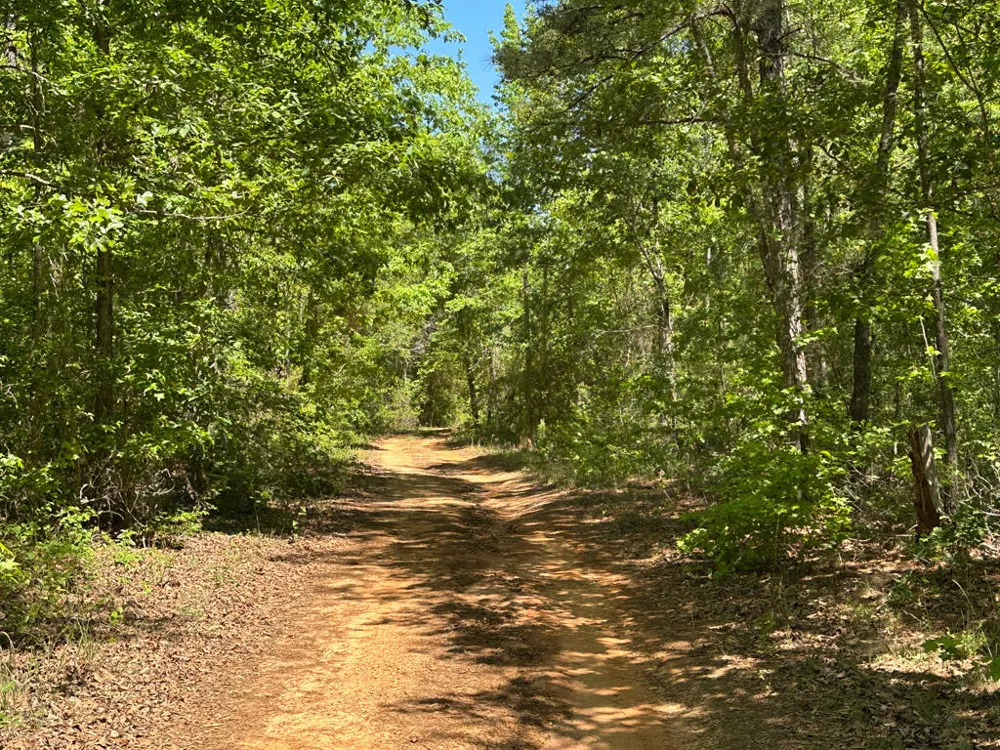 4230 W Quaker Road Keysville, GA 30816
