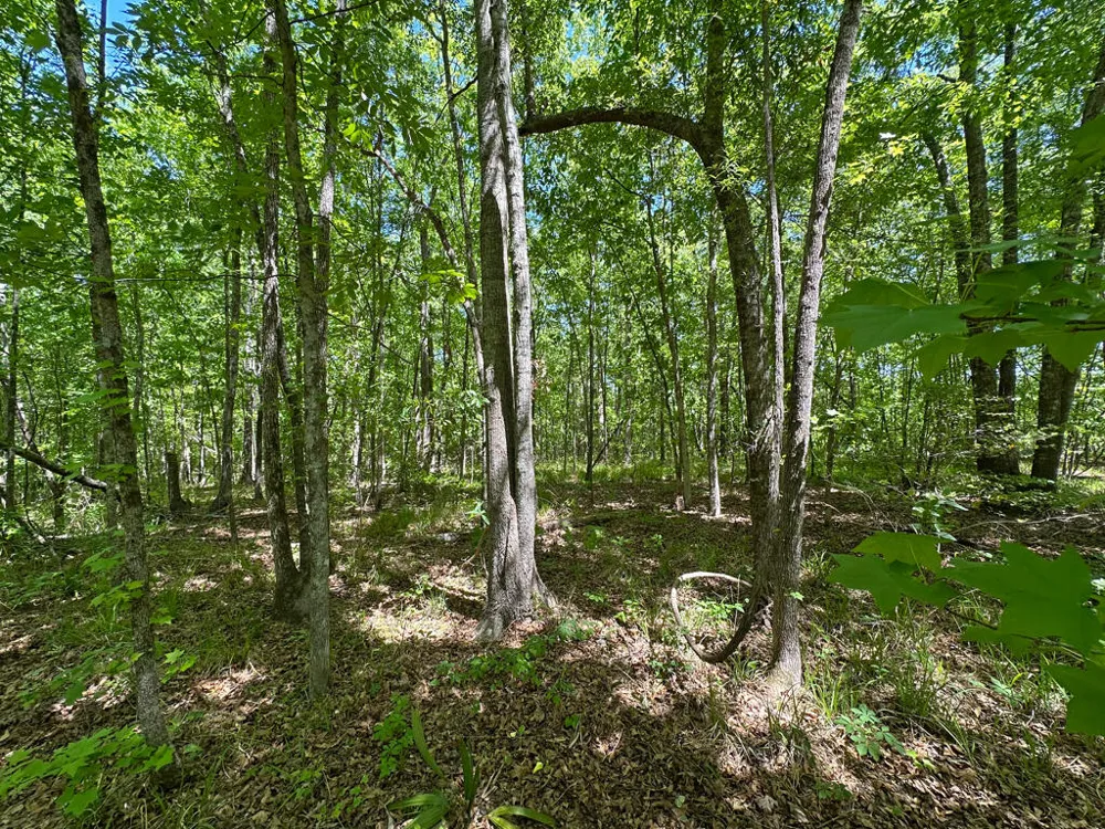 4230 W Quaker Road Keysville, GA 30816