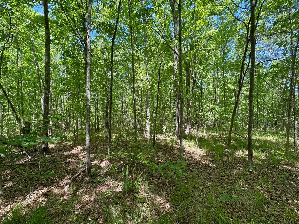 4230 W Quaker Road Keysville, GA 30816