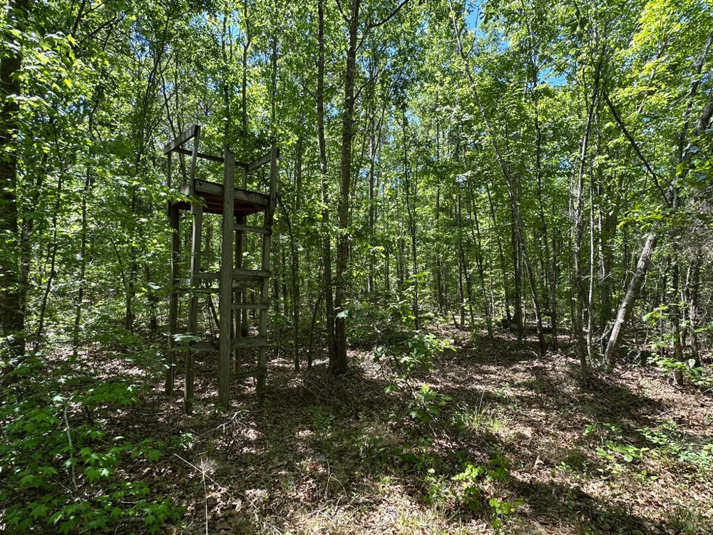 4230 W Quaker Road Keysville, GA 30816
