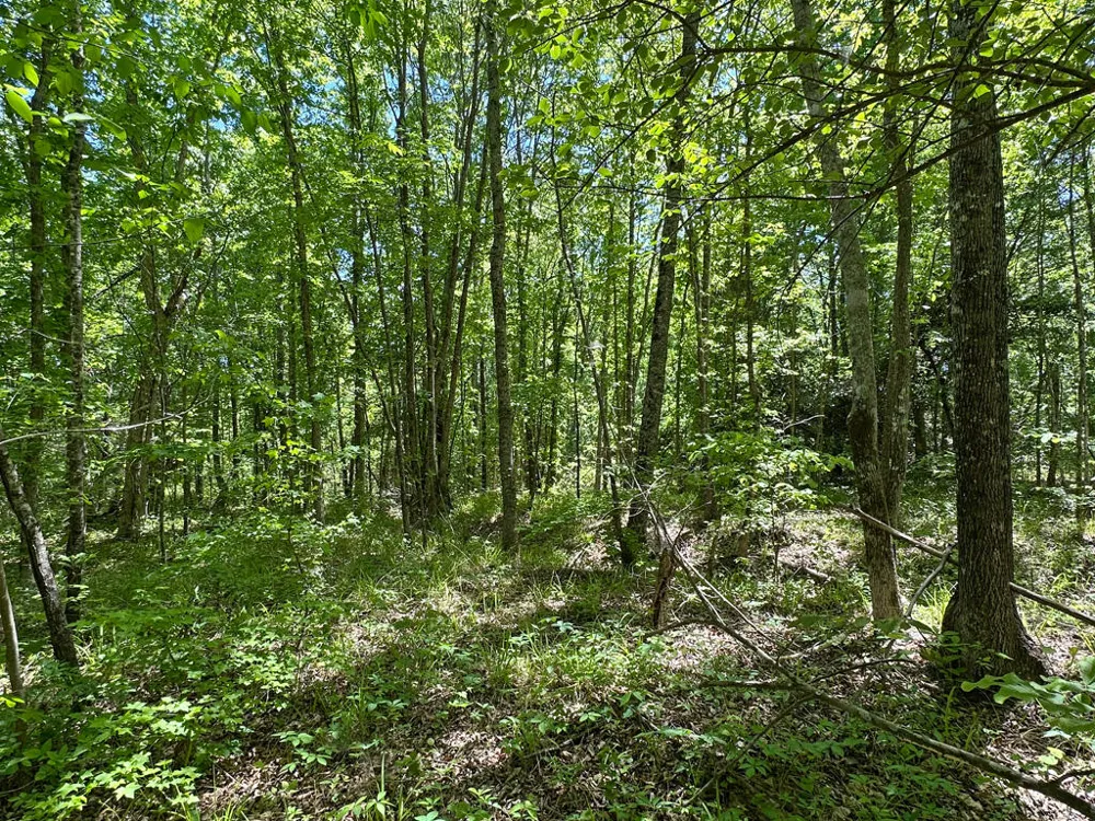 4230 W Quaker Road Keysville, GA 30816