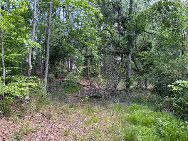 2064 Glenn Grovetown, GA 30813