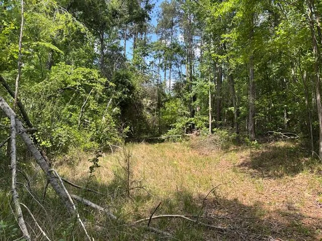 2062 Glenn Grovetown, GA 30813