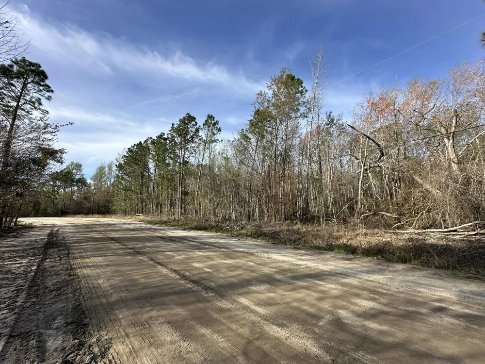 Lot 12 Robin Boulevard Swainsboro, GA 30401