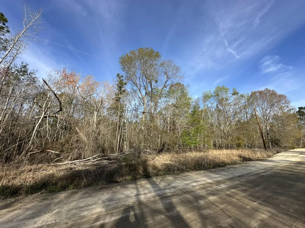 Lot 12 Robin Boulevard Swainsboro, GA 30401