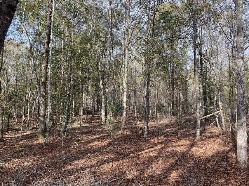Lot 12 Robin Boulevard Swainsboro, GA 30401