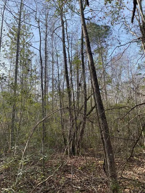 Lot 12 Robin Boulevard Swainsboro, GA 30401