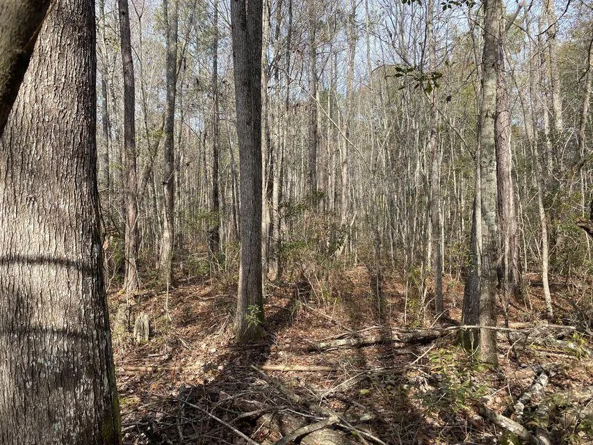 Lot 12 Robin Boulevard Swainsboro, GA 30401