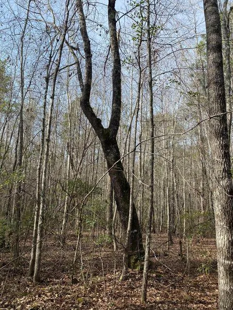 Lot 12 Robin Boulevard Swainsboro, GA 30401