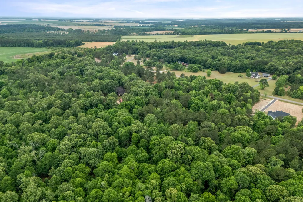 0 Sylvan Grove Road Stapleton, GA 30823