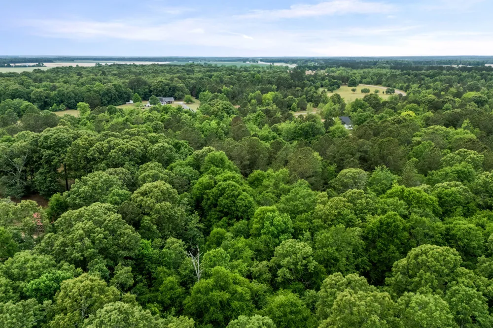 0 Sylvan Grove Road Stapleton, GA 30823