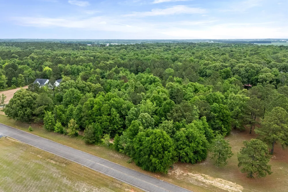 0 Sylvan Grove Road Stapleton, GA 30823