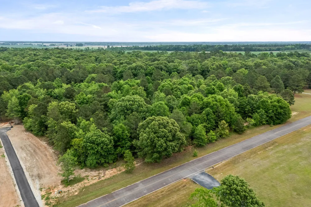 0 Sylvan Grove Road Stapleton, GA 30823