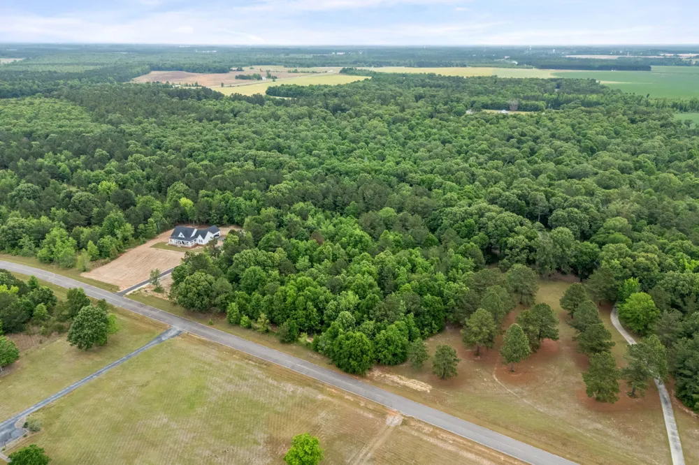 0 Sylvan Grove Road Stapleton, GA 30823