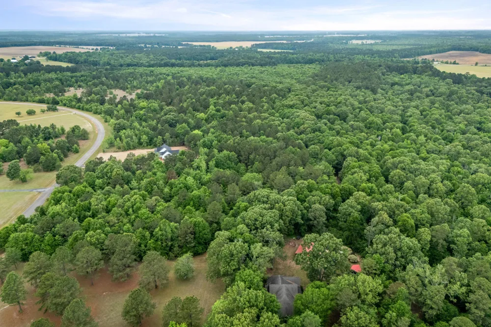 0 Sylvan Grove Road Stapleton, GA 30823